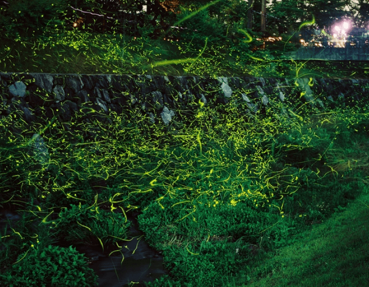 大谷川河川公園